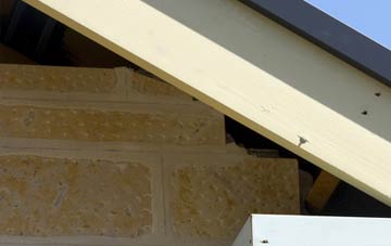 soffit repair Winderton